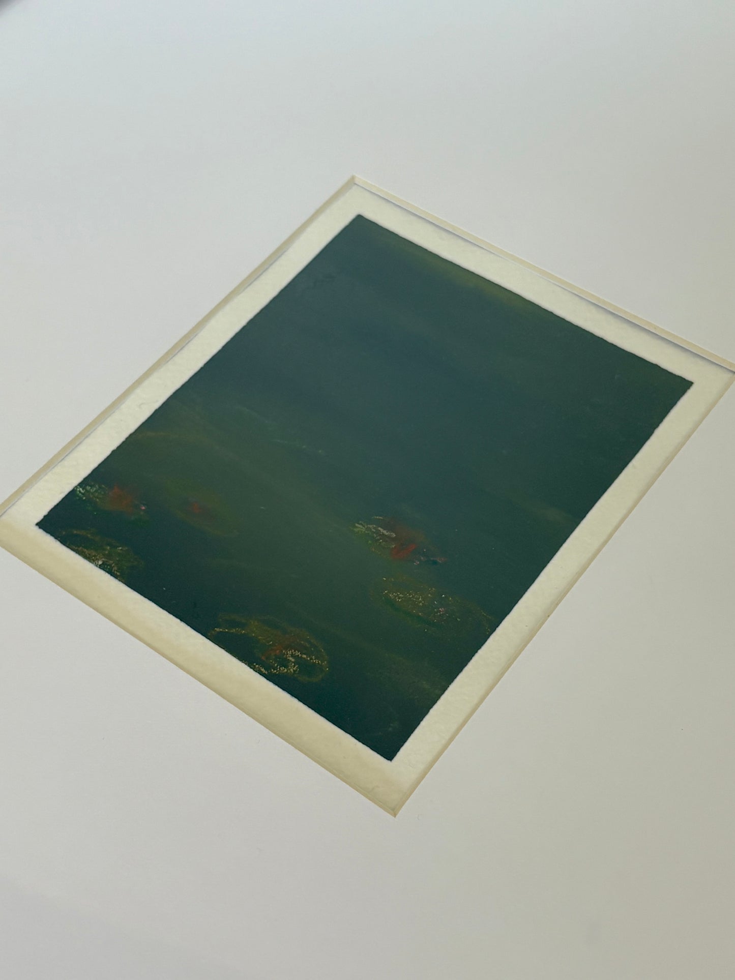 ‘Lily Pads’ on paper