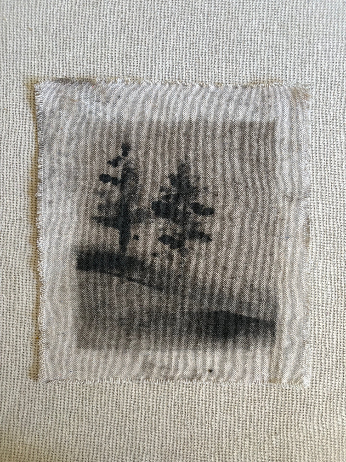 Carmel LXII