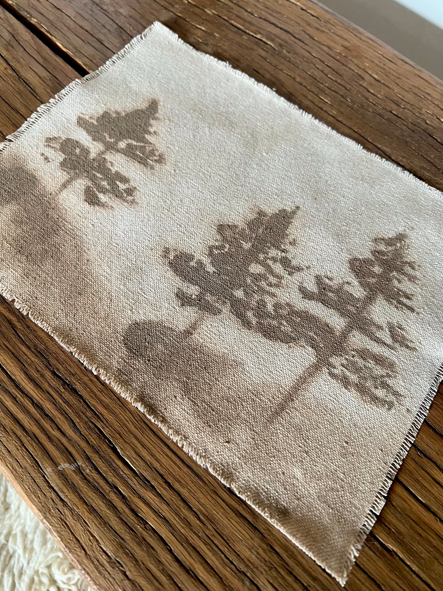 Carmel Taupe XIII