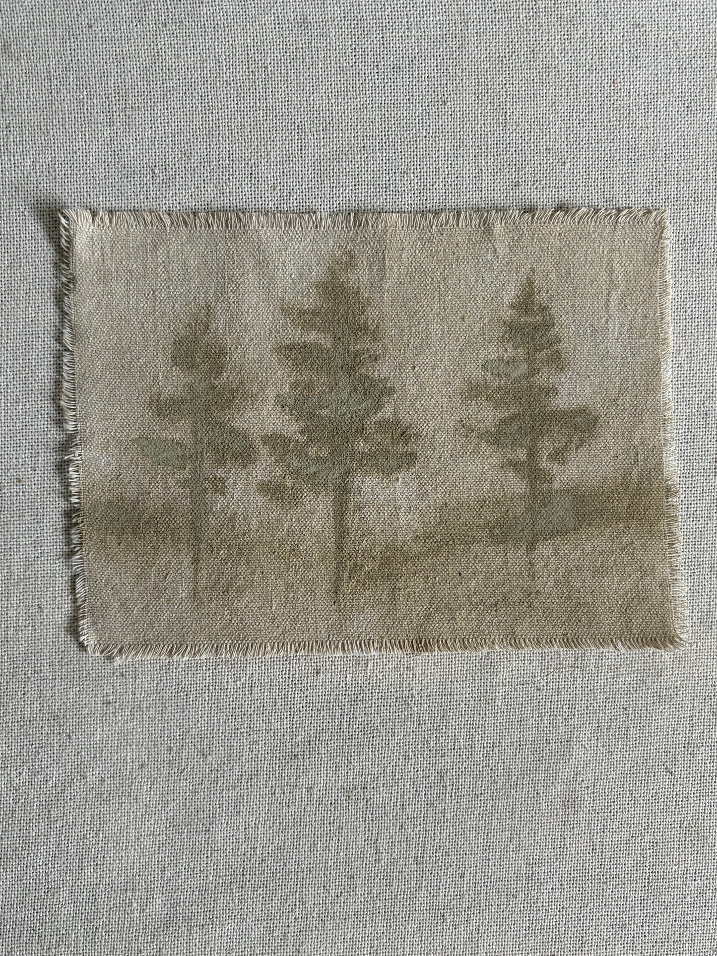 Carmel Taupe XXIII