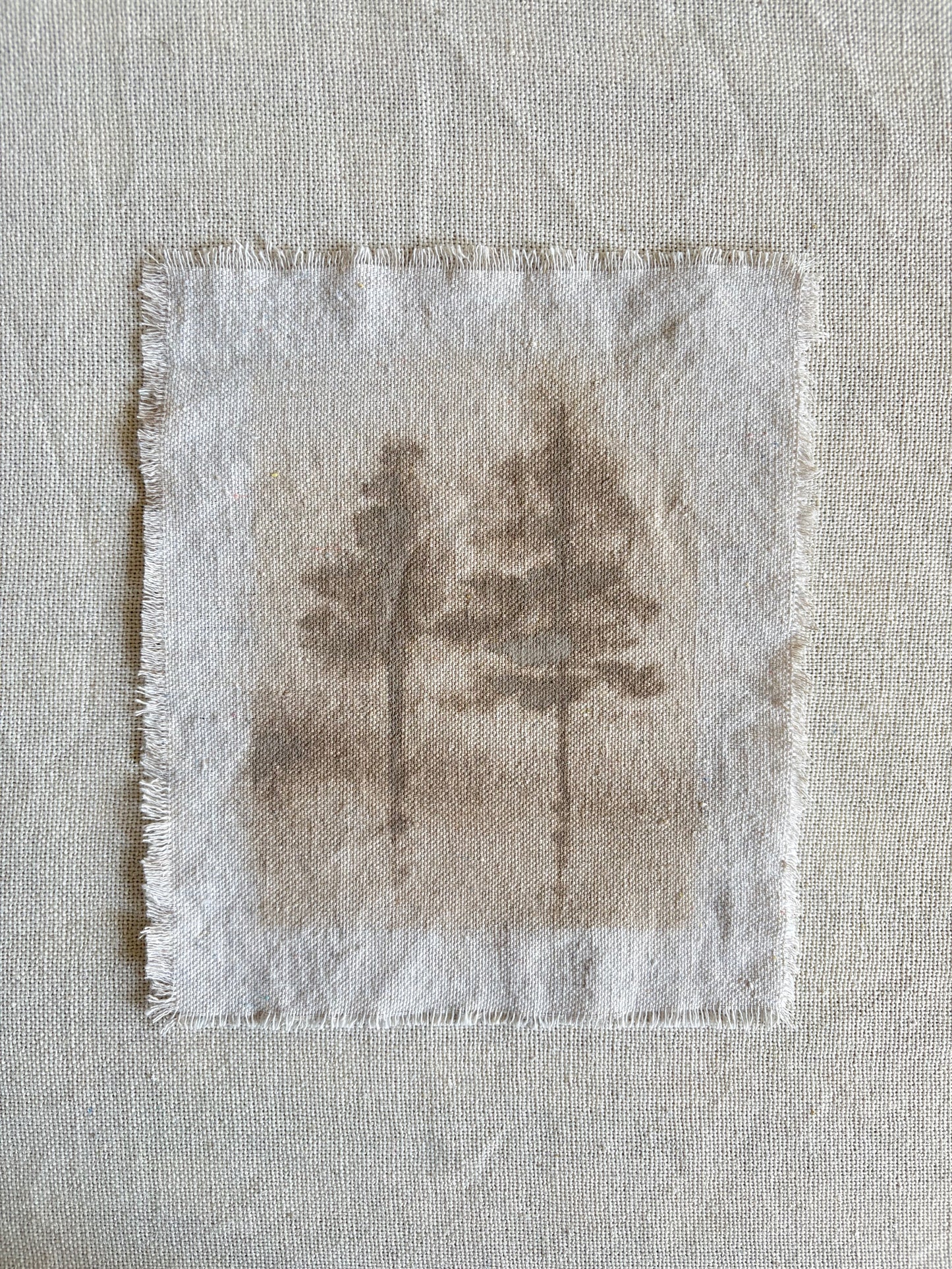Carmel Taupe VIII