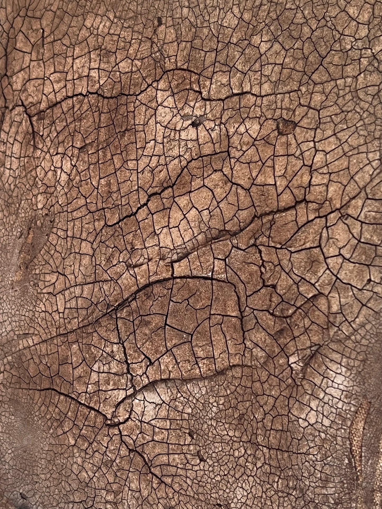 Tierra Seca