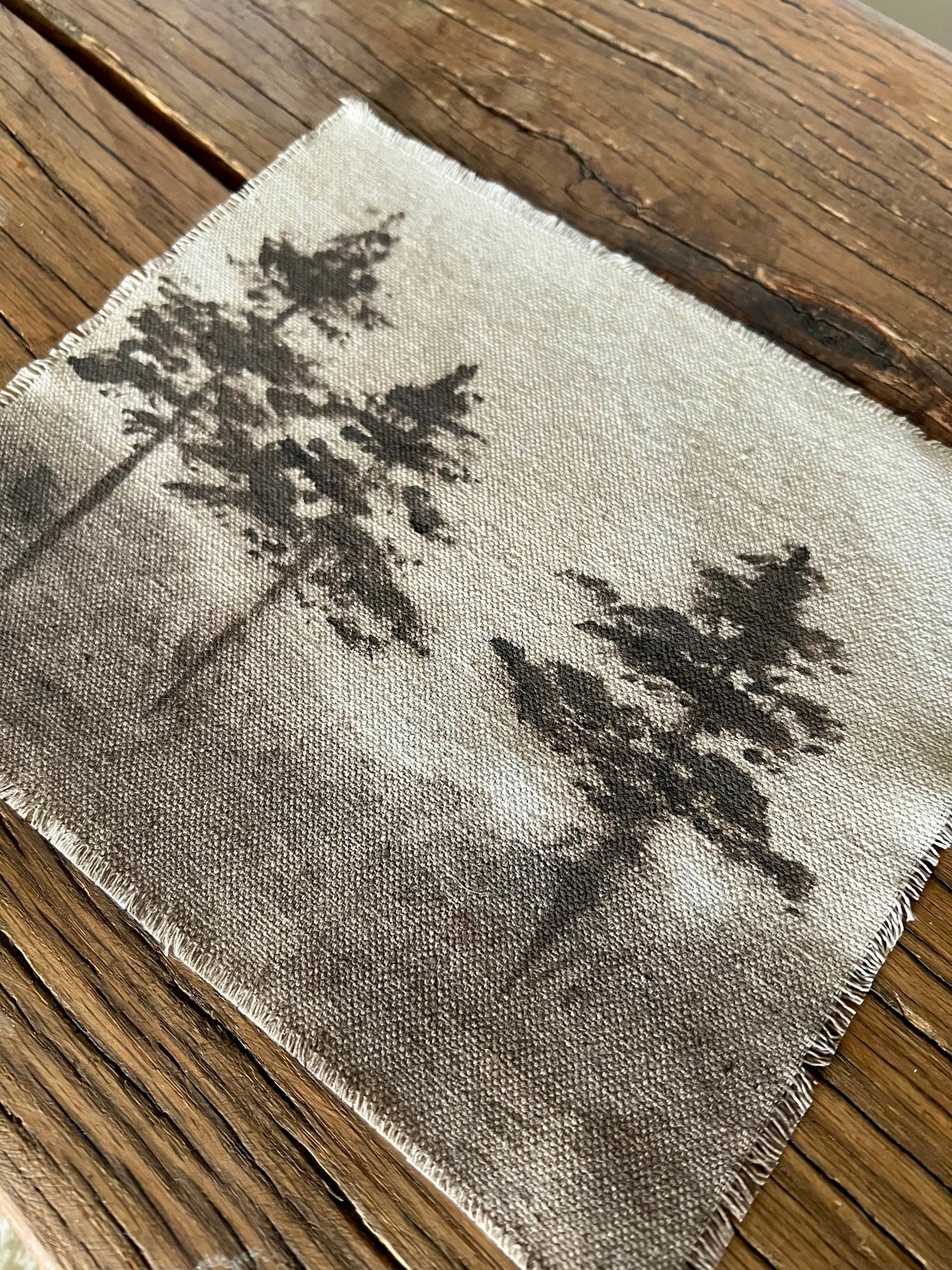 Carmel Taupe XI