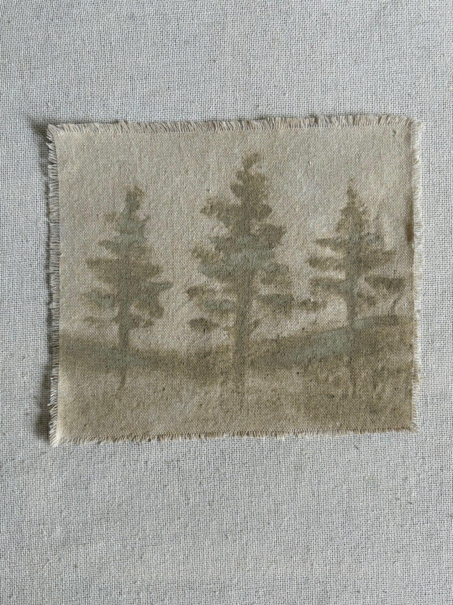 Carmel Taupe XXII