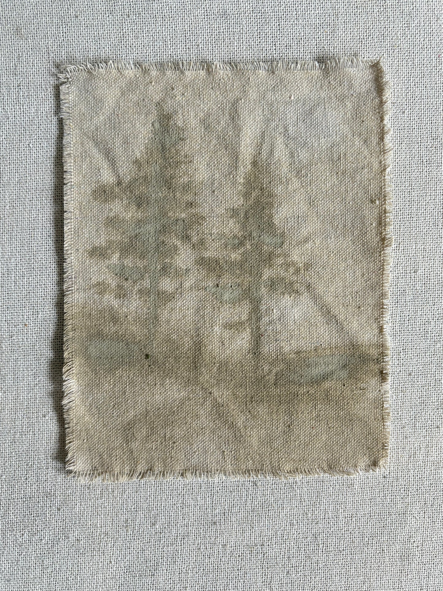 Carmel Taupe XXVII