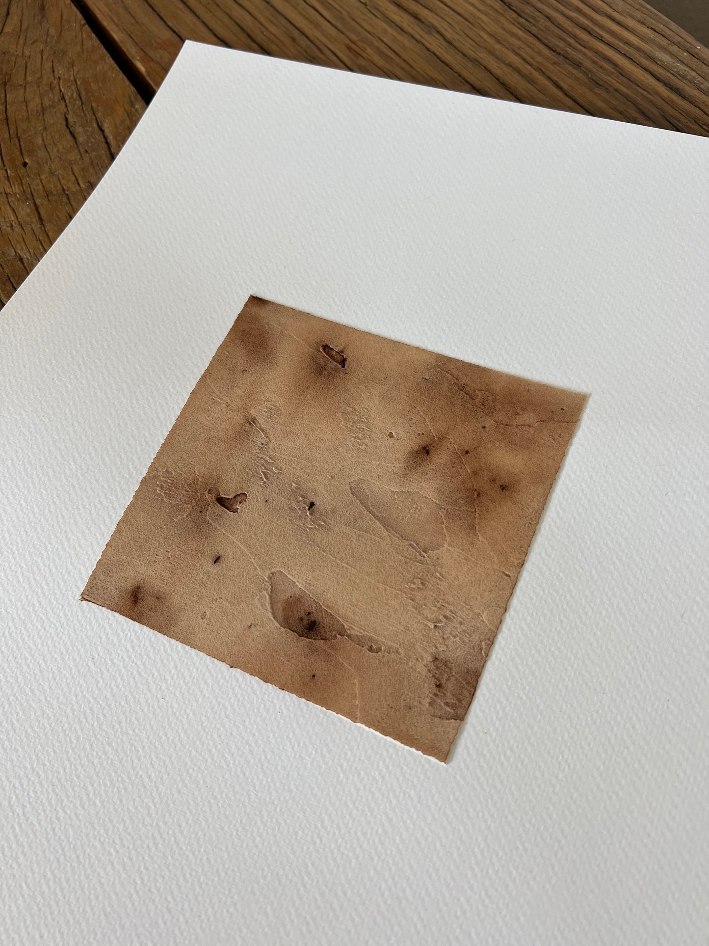 Brûlée on paper III