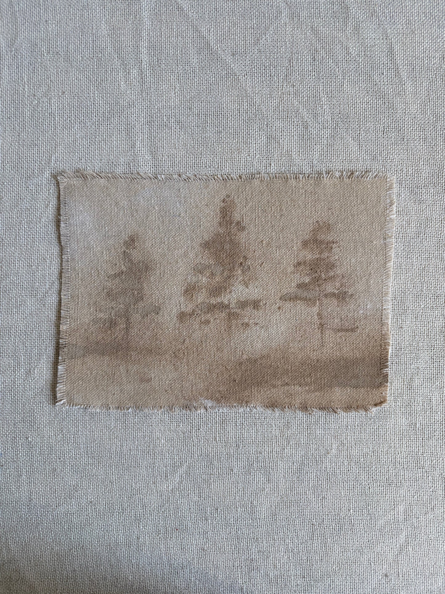 Carmel Taupe VI