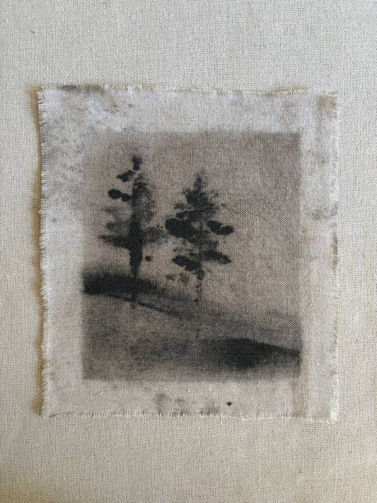 Carmel LXII