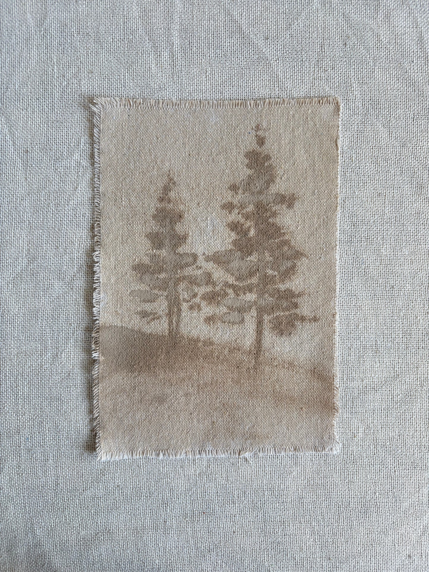 Carmel Taupe II