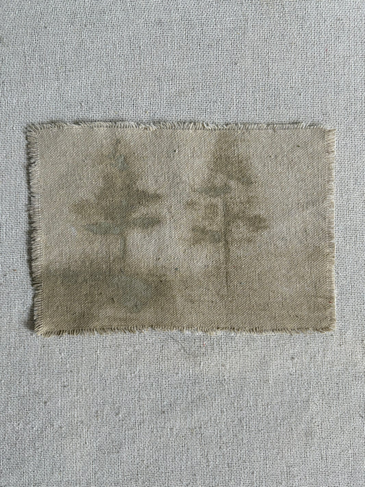 Carmel Taupe XXV