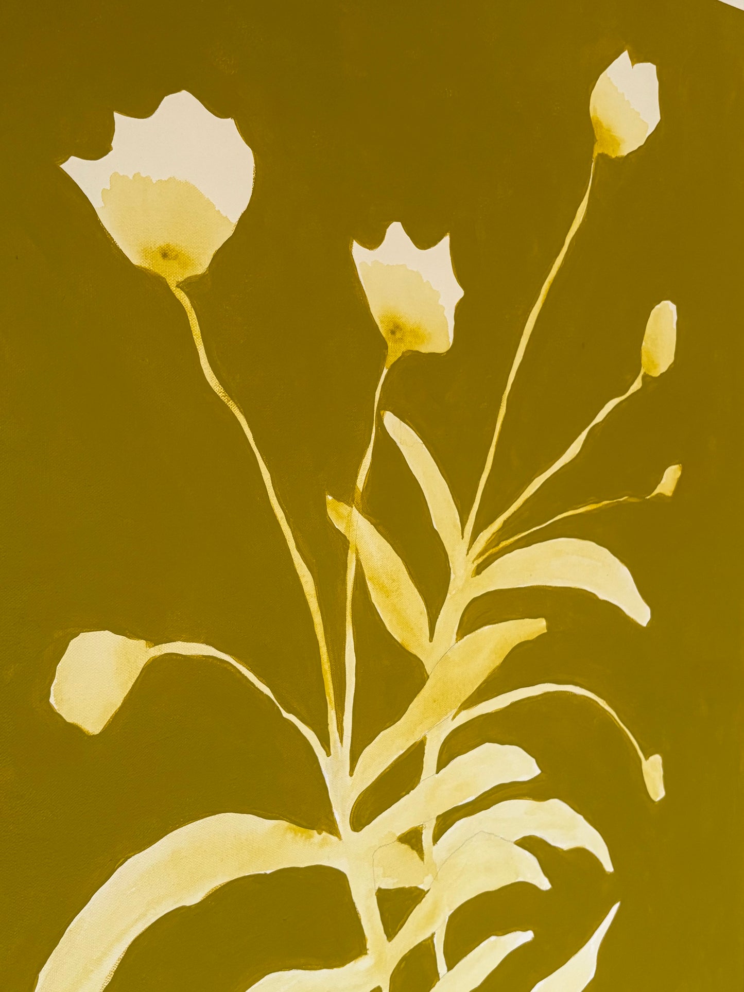 ‘Abstract Florals’