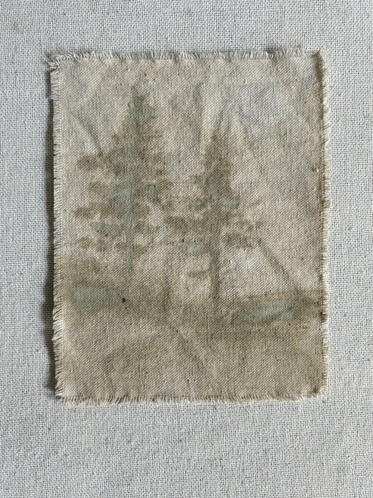 Carmel Taupe XXVII