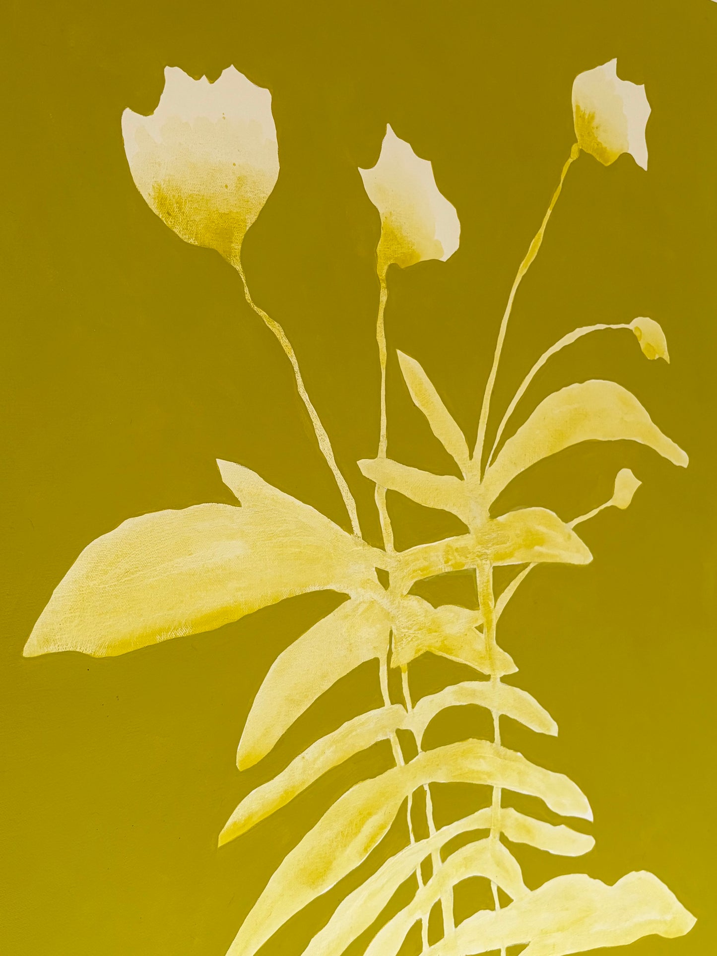 Abstract Florals IV